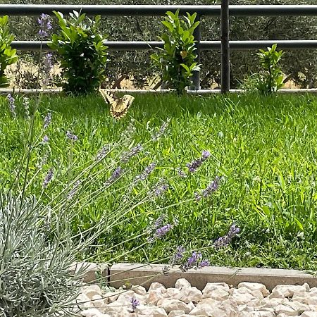 Apartman David 73 Split Ngoại thất bức ảnh